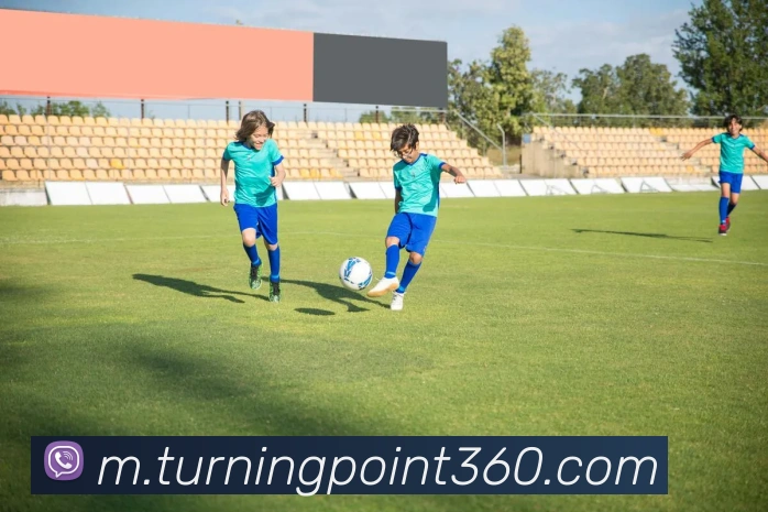 App Interface Preview